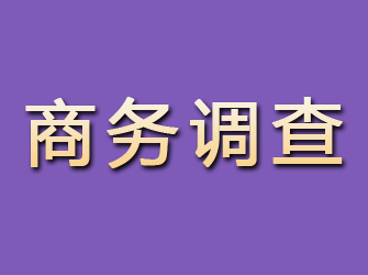 邯郸县商务调查